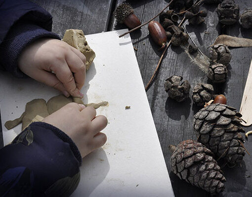 pinecone-crafts